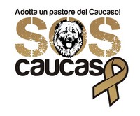 sos caucaso