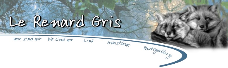 Top image e menu