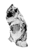 seduto