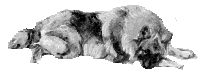 gi&ugrave;